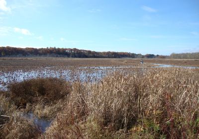 Great Meadows National Wildlife Refuge Concord Unit