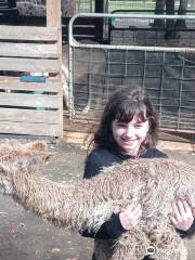 LunaSea Alpaca Farm