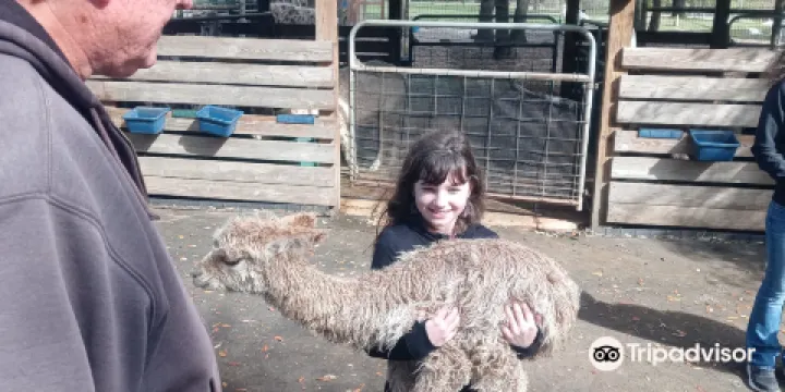 LunaSea Alpaca Farm