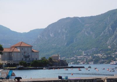 Kotor