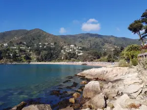 Playa de Zapallar