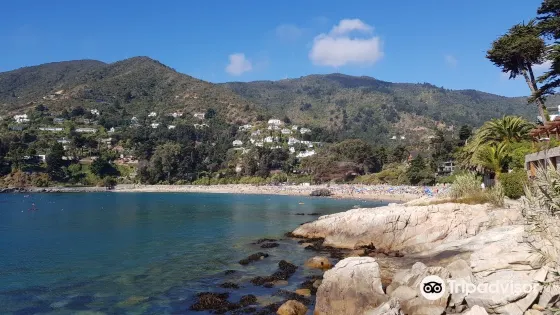 Zapallar beach