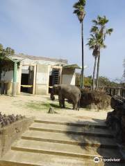 宮崎市フェニックス自然動物園