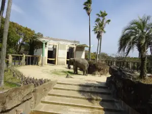 宮崎市フェニックス自然動物園