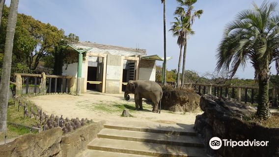 Miyazaki City Phoenix Zoo