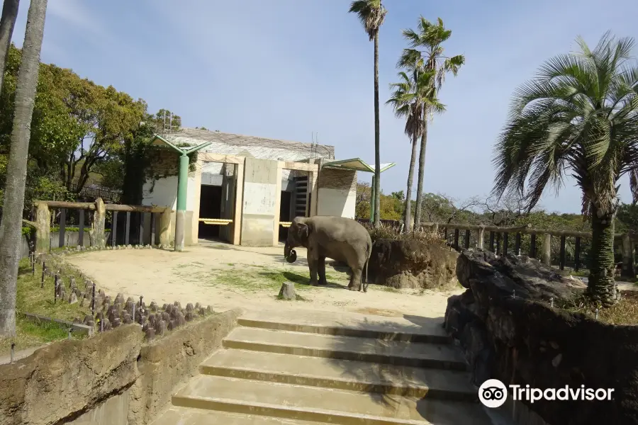 宮崎市フェニックス自然動物園