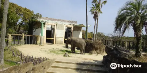 宮崎市フェニックス自然動物園