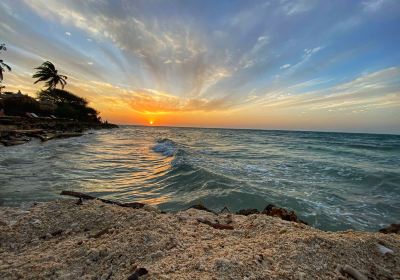 Isla Mucura
