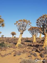 Quivertree Forest and Giant's Playground