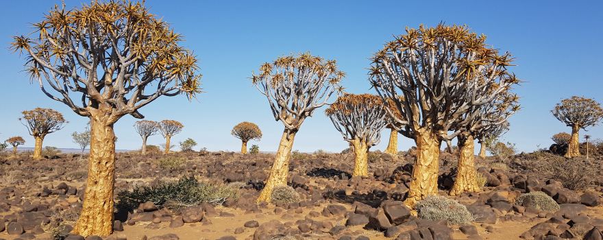 Keetmanshoop