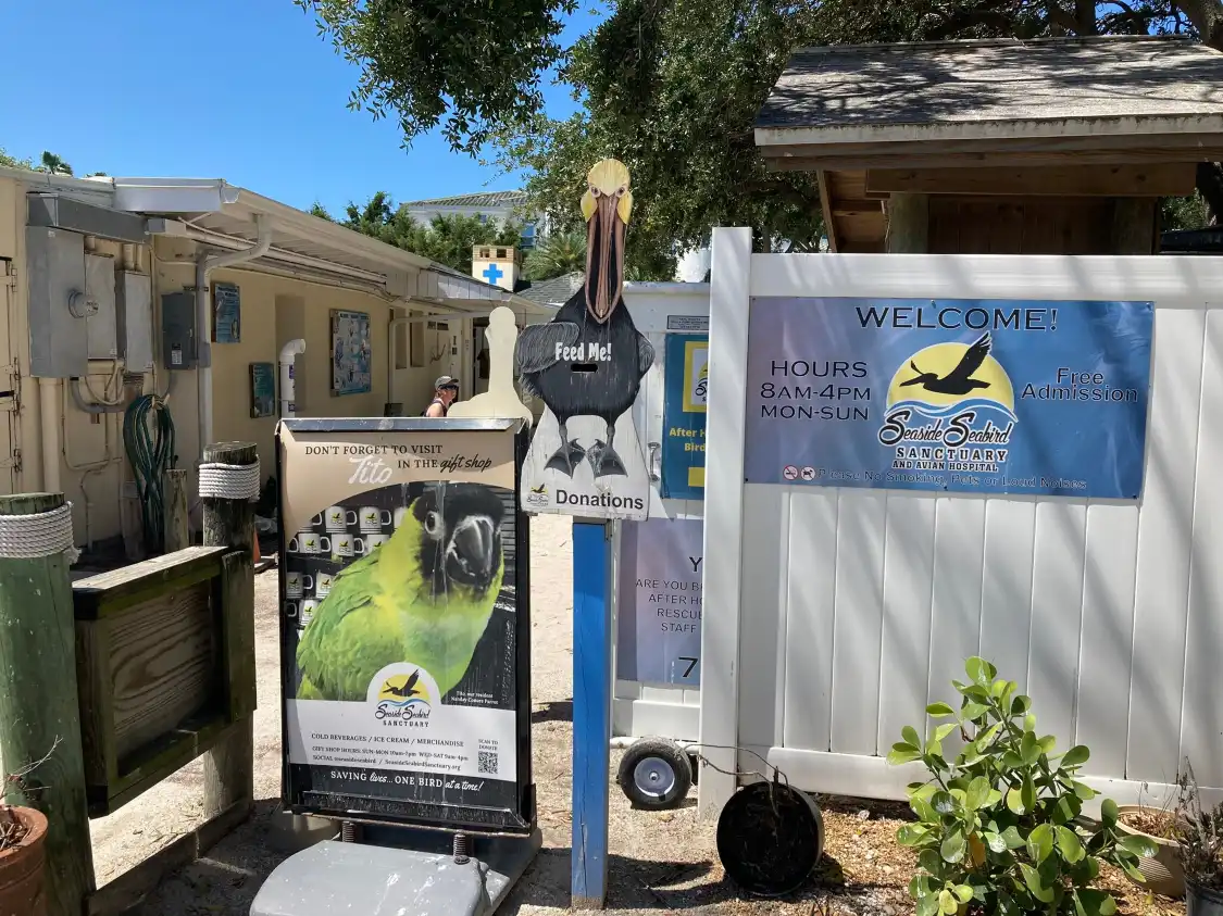 Hotels near Seaside Seabird Sanctuary