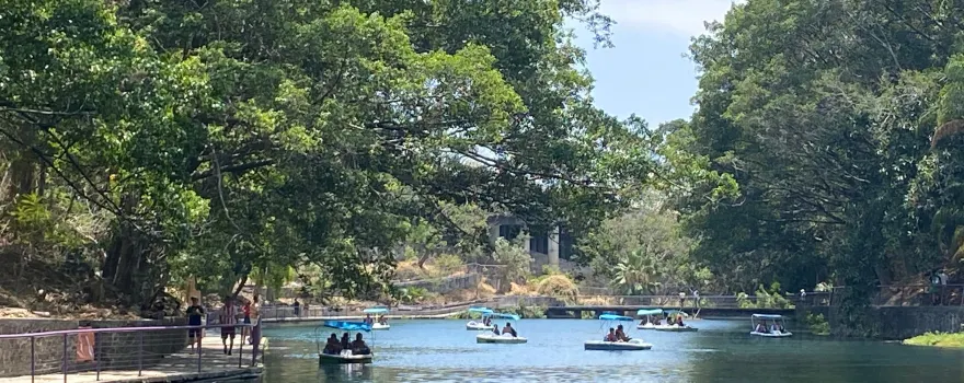 Parque Estatal Urbano Barranca de Chapultepec