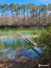 Sewee Visitor & Environmental Education Center