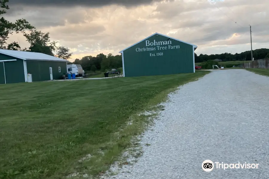 Bohman Christmas Tree Farm