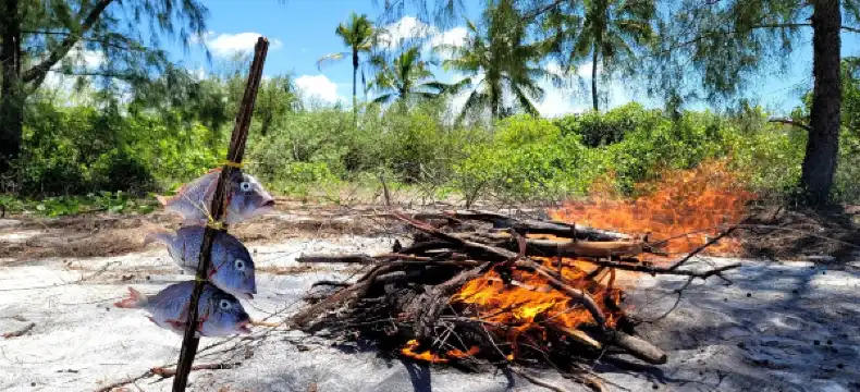 โรงแรมในมาเฟีย