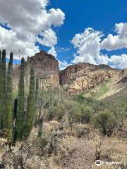 Organ Pipe Cactus National Monument