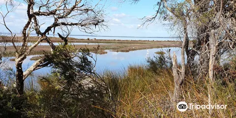 Len Howard Conservation Park