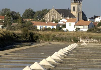 Eglise St Martin de Vertou et Clocher Panoramique