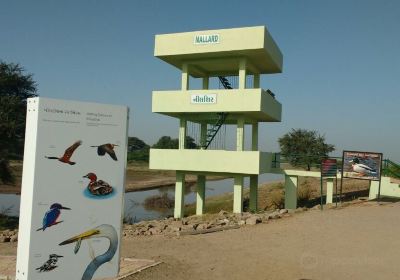 Khijadia Bird Sanctuary