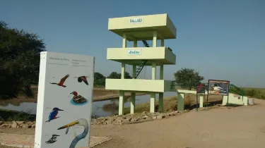 Khijadiya Bird Sanctuary