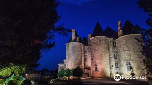 Chateau de Meung sur Loire