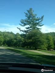 Chestnut Ridge Park