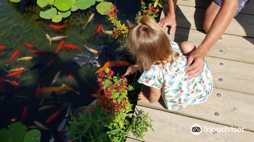 Les Jardins d'Eau