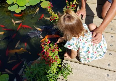 Les Jardins d'Eau