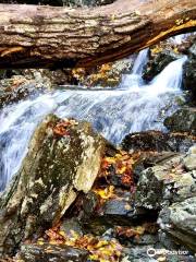 Race Brook Falls