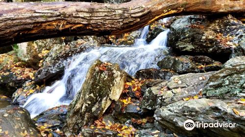 Race Brook Falls