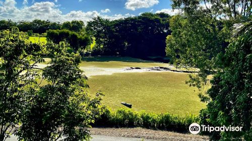 Mackay Regional Botanic Gardens