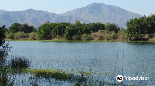 Lower Zambezi National Park