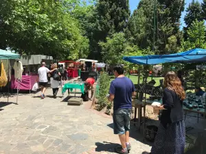 Feria de Artesanos de Villa de las Rosas