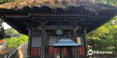 少林山 達磨寺