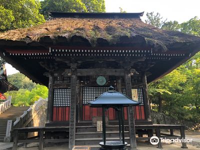 Shorinzan Daruma-ji Temple