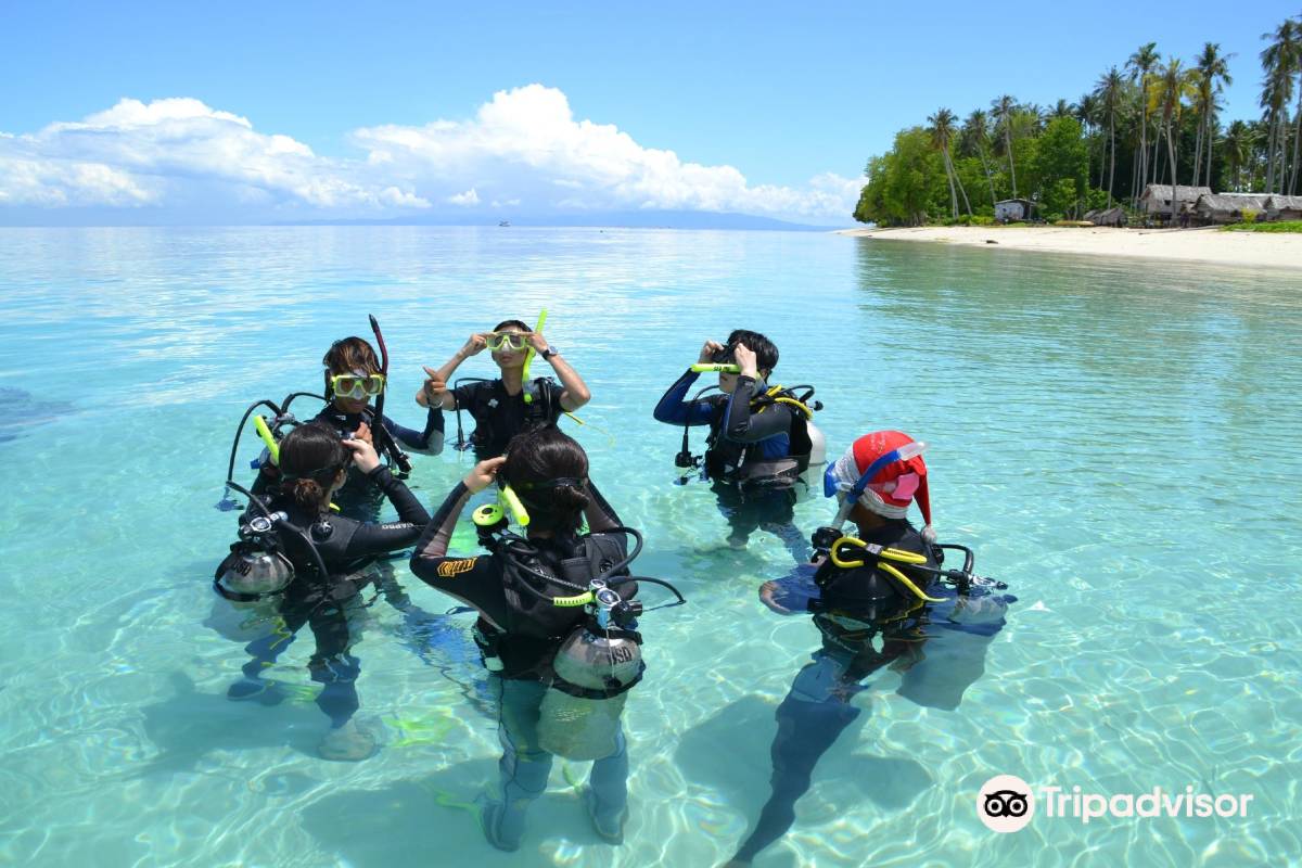 仙本那潛水 | 潛水牌照課程詳情