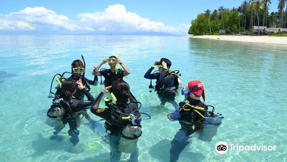Borneo Speedy Dive