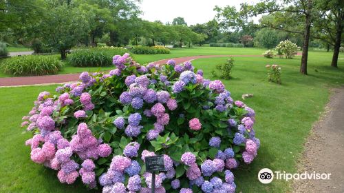 Botanic Gardens of Toyama