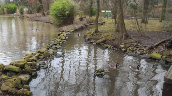 ハム動物園