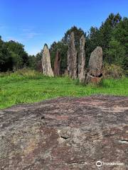 The menhirs of Monteneuf