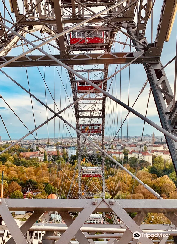 3_Viennese Giant Ferris Wheel
