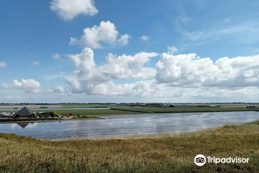 Donkere Duinen