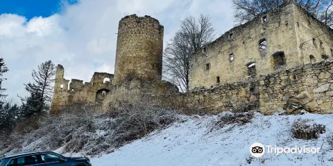 Burgruine Losenstein