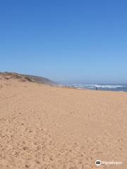 Waitpinga Beach