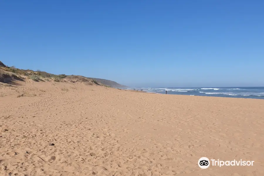 Waitpinga Beach