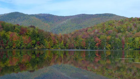 Gifford Woods State Park