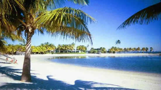 Matheson Hammock Park & Marina