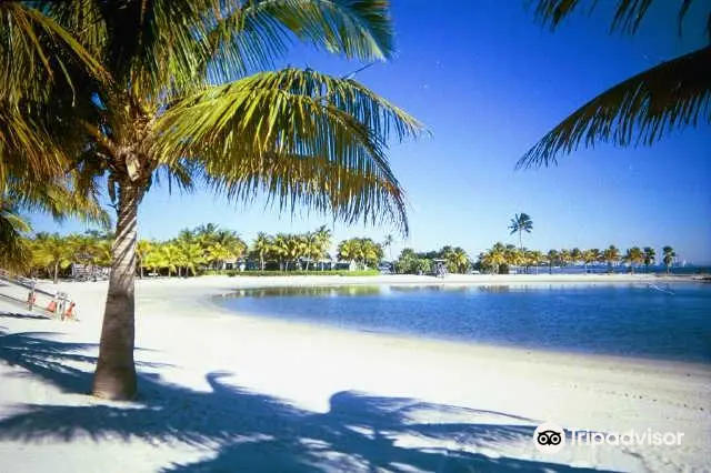 Matheson Hammock Park & Marina