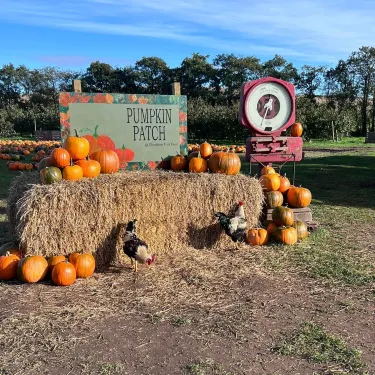 Charleton Farm