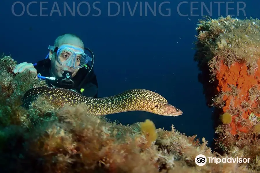 Oceanos Diving Center // Lloret de Mar
